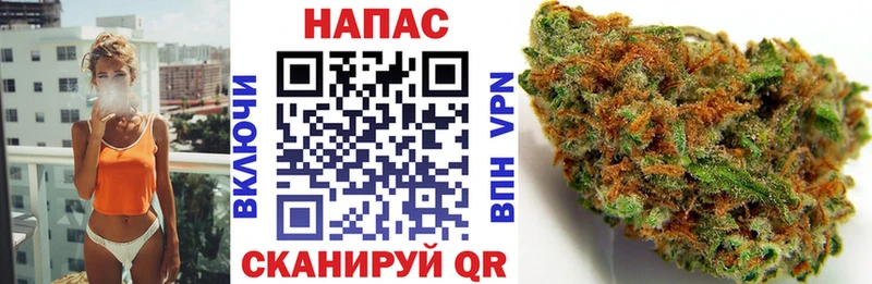 Купить где Пятигорск Бошки Шишки Bruce Banner